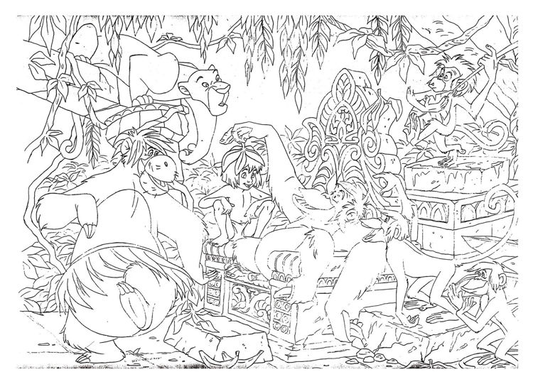 Εικόνα για PUZZLE DF PLUS 108 JUNGLE ΒΟΟΚ