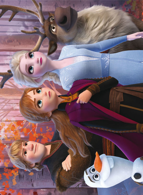 Εικόνα για DISNEY PUZZLE DF MAXI FLOOR 24 FROZEN 2